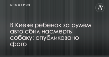 У Києві дитина за кермом авто збив насмерть собаку: опубліковано фото