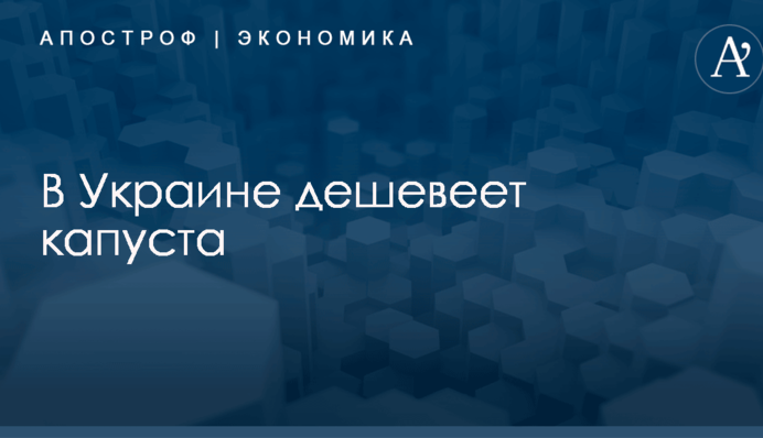 В Украине обвалились цены на капусту: опубликована инфографика