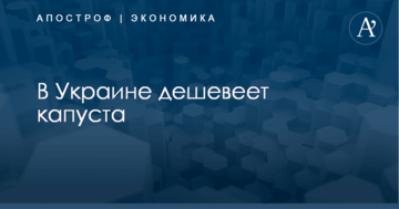 В Украине обвалились цены на капусту: опубликована инфографика