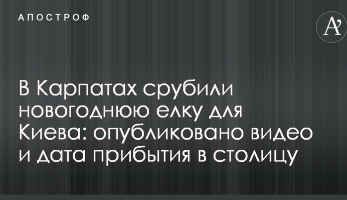 У Карпатах зрубали новорічну ялинку для Києва: опубліковано відео і дата прибуття в столицю