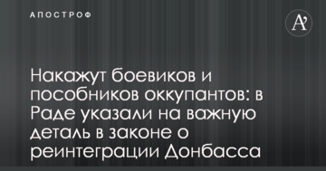 Покарають бойовиків і посібників окупантів: в Раді вказали на важливу деталь в законі про реінтеграцію Донбасу