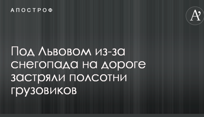 Под Львовом из-за снегопада на дороге застряли полсотни грузовиков: опубликованно видео