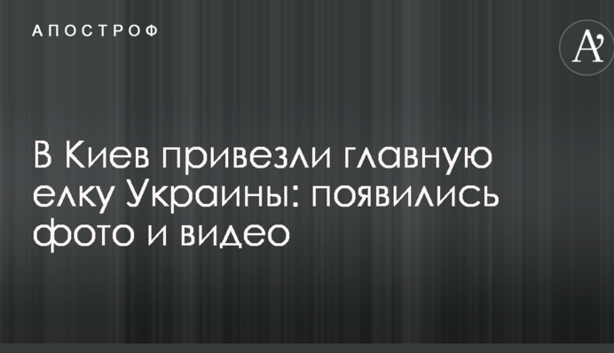 У Київ привезли головну ялинку України: з'явилися фото