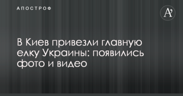 У Київ привезли головну ялинку України: з'явилися фото