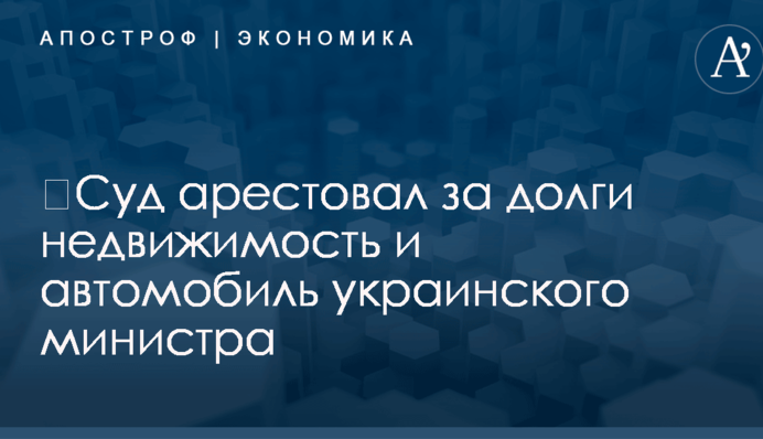 ​Суд арестовал за долги недвижимость и автомобиль украинского министра