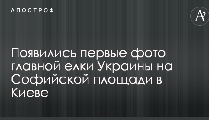 З'явилися перші фото головної ялинки України на Софійській площі в Києві