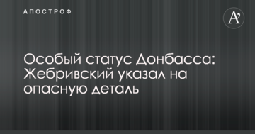 Особый статус Донбасса: Жебривский указал на опасную деталь
