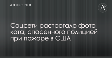 Соцмережі зворушило фото кота, врятованого поліцією при пожежі в США