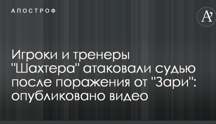 Игроки и тренеры 