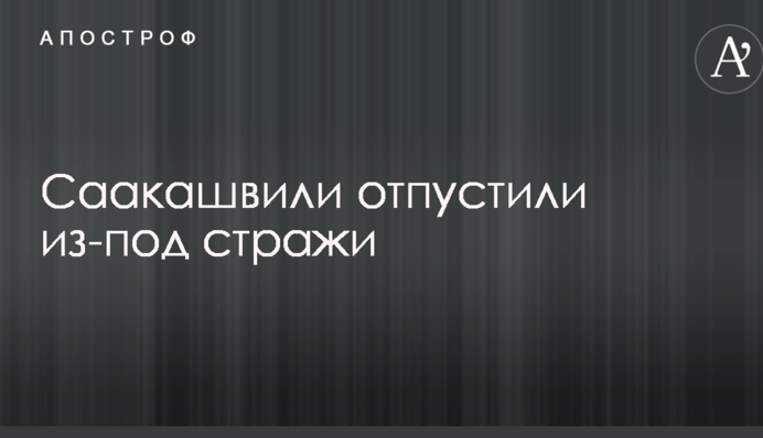 Саакашвили отпустили из-под стражи