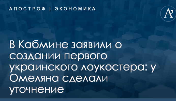 В Кабмине заявили о создании первого украинского лоукостера: у Омеляна сделали уточнение