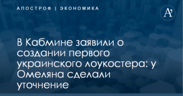 В Кабмине заявили о создании первого украинского лоукостера: у Омеляна сделали уточнение