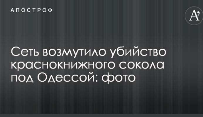 Мережу обурило вбивство червонокнижного сокола під Одесою: опубліковані фото