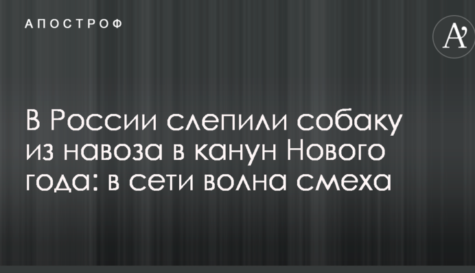 В России слепили собаку из навоза в канун Нового года: в сети волна смеха