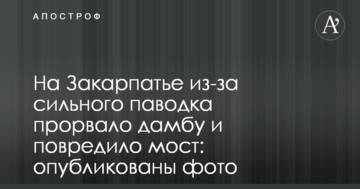На Закарпатті сильний паводок прорвав дамбу і пошкодив міст: опубліковано фото