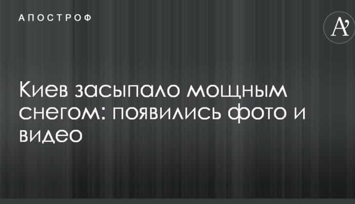 Київ засипало потужним снігом: з'явилися фото і відео