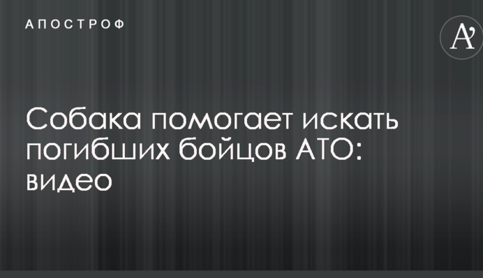 В силах АТО показали незвичайного помічника у пошуках загиблих бійців на Донбасі: опубліковано відео