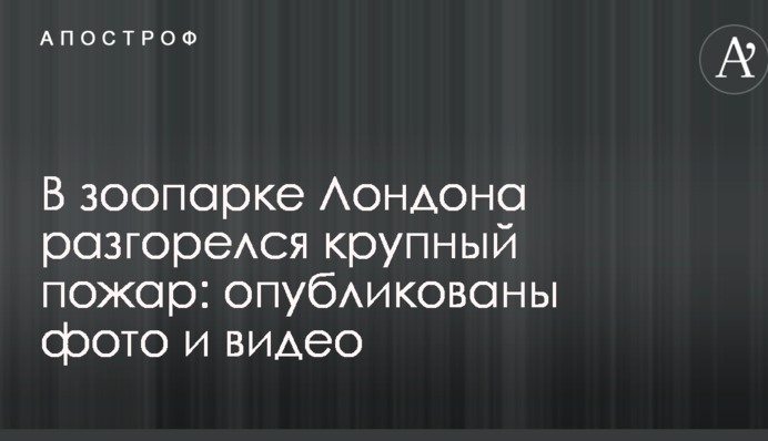 У зоопарку Лондона розгорілася велика пожежа: опубліковані фото і відео