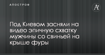 Под Киевом засняли на видео эпичную схватку мужчины со свиньей на крыше фуры