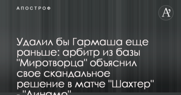 Удалил бы Гармаша еще раньше: арбитр из базы "Миротворца" объяснил свое скандальное решение в матче "Шахтер" - "Динамо"