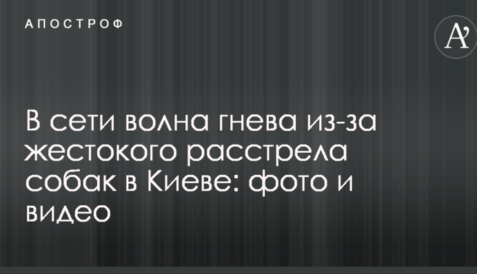 У мережі хвиля гніву через жорстокий розстріл собак в Києві: опубліковані фото і відео