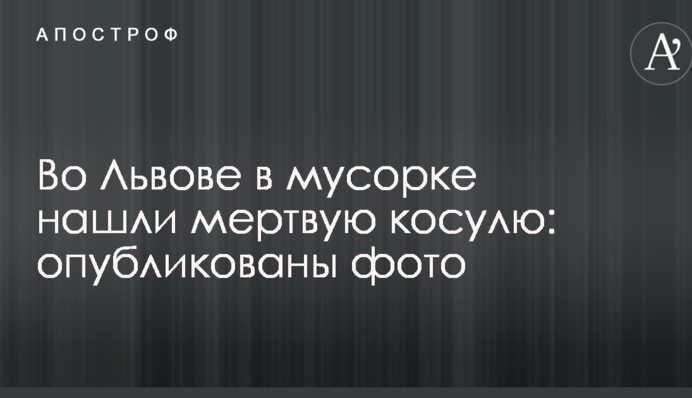 У Львові у смітнику знайшли мертву козулю: опубліковано фото