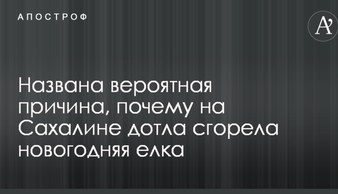 Названа вероятная причина, почему на Сахалине дотла сгорела новогодняя елка