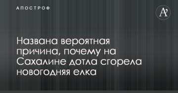 Названа ймовірна причина, чому на Сахаліні дотла згоріла новорічна ялинка