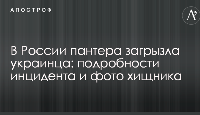 В России пантера загрызла украинца: подробности инцидента и фото хищника