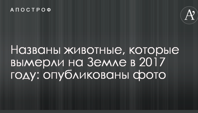 Названо тварини, які вимерли на Землі в 2017 році: опубліковані фото