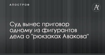 Суд вынес приговор одному из фигурантов дела о "рюкзаках Авакова"