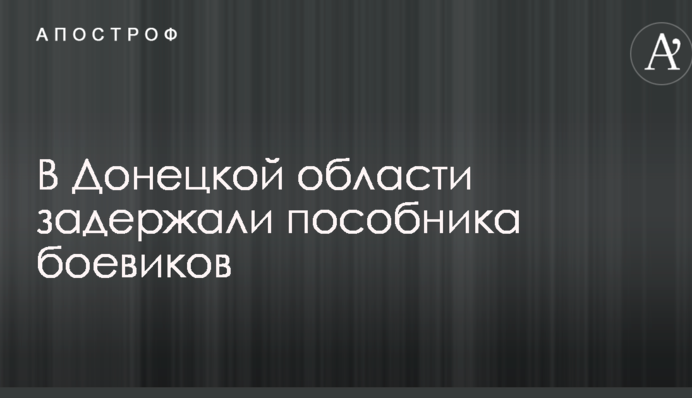 У Донецькій області затримали посібника бойовиків