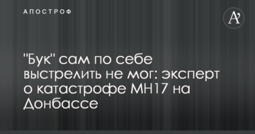 "Бук" сам по собі вистрілити не міг: експерт про катастрофу МН17 на Донбасі