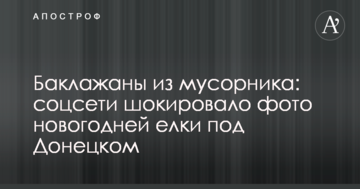 Баклажани зі смітника: соцмережі шокувало фото новорічної ялинки під Донецьком