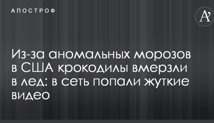 Из-за аномальных морозов в США крокодилы вмерзли в лед: в сеть попали жуткие видео
