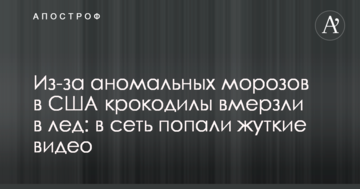 Через аномальні морози в США крокодили вмерзли в лід: у мережу потрапили моторошні відео