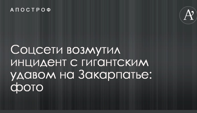 Соцсети возмутил инцидент с гигантским удавом на Закарпатье: опубликованы фото