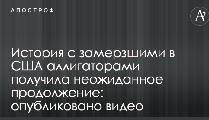 История с замерзшими в США аллигаторами получила неожиданное продолжение: опубликовано видео