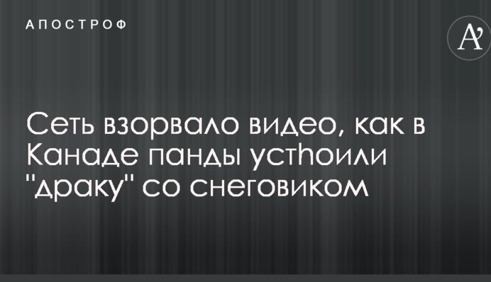 Сеть взорвало видео, как в Канаде панды устроили 