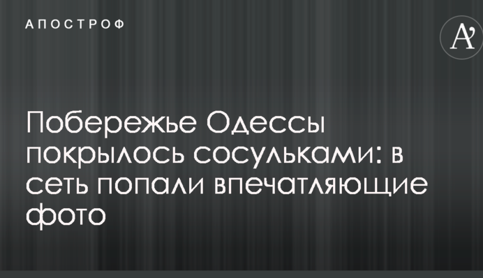 Узбережжя Одеси покрилося бурульками: в мережу потрапили вражаючі фото