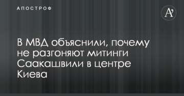 В МВД объяснили, почему не разгоняют митинги Саакашвили в центре Киева