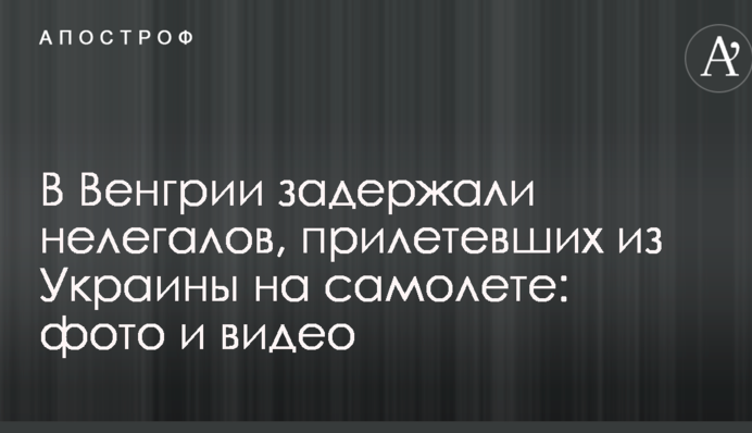 В Венгрии задержали нелегалов, прилетевших из Украины на самолете: фото и видео