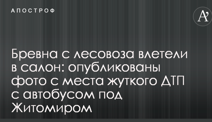 Колоди з лісовоза влетіли в салон: опубліковано фото з місця страшної ДТП з автобусом під Житомиром