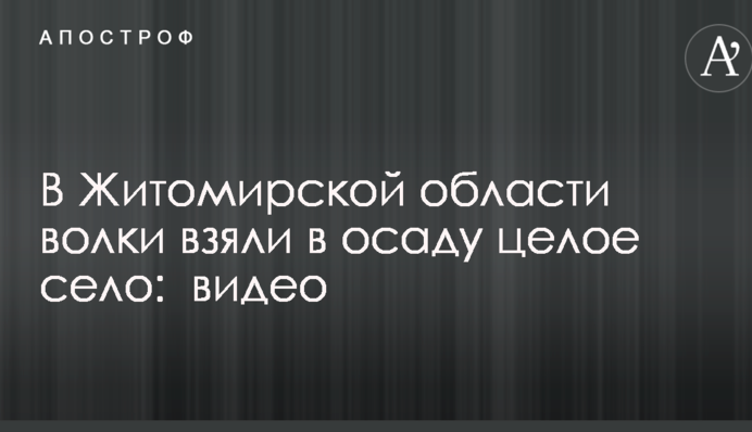У Житомирській області вовки взяли в облогу ціле село: опубліковано відео