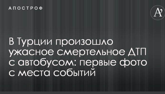 У Туреччині сталася жахлива смертельна ДТП з автобусом: перші фото з місця подій