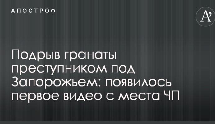 Підрив гранати злочинцем під Запоріжжям: з'явилося перше відео з місця НП