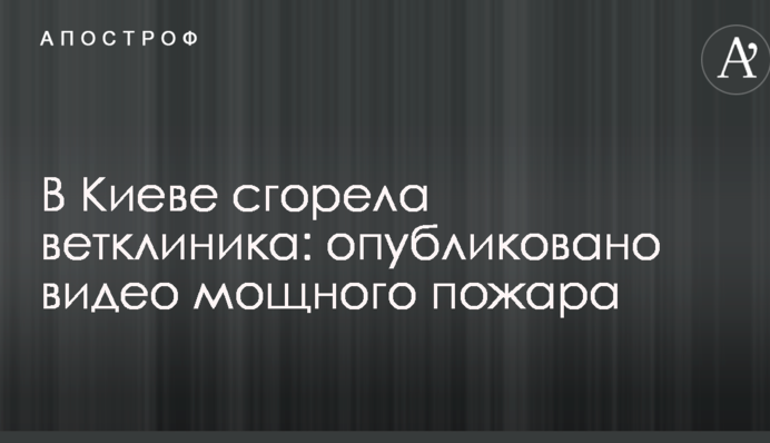 У Києві згоріла ветклініка: опубліковано відео потужної пожежі