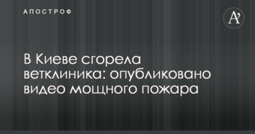 У Києві згоріла ветклініка: опубліковано відео потужної пожежі