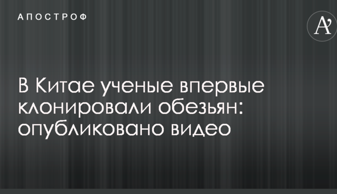 В Китае ученые впервые клонировали обезьян: опубликовано видео
