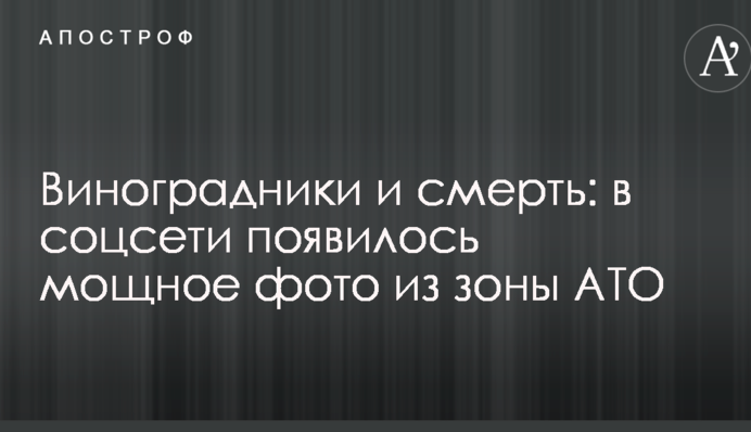 Виноградники і смерть: у соцмережі з'явилося потужне фото із зони АТО